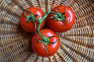 Incredible Jersey Tomatoes - Farmside Landscape & Design