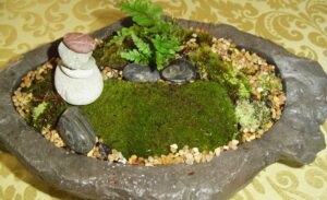 Mini Moss Garden with Stones - Farmside Landscape & Design