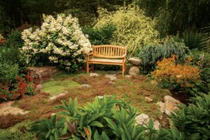 Moss Garden with Bench - Farmside Landscape & Design