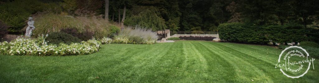Protecting Your Lawn From Lawn Disease | Farmside Landscape & Design