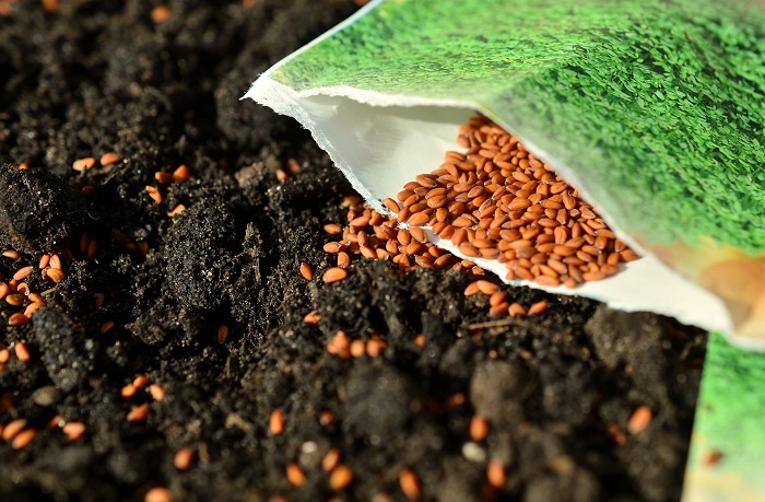 Starting Your Own Seeds Before Spring - Bag of Seeds - Farmside Landscape & Design